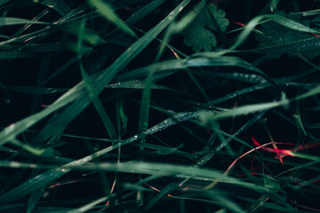 3d rendered illustration of dna molecule