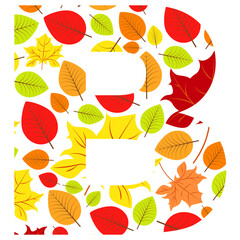 Vector letter B from autumn leaves. Illustration on the subject of the alphabet.