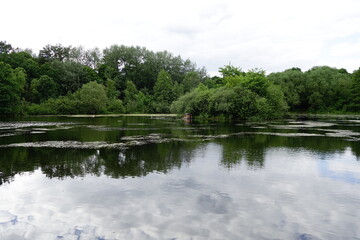 Lake with a duck house in the middle landscape