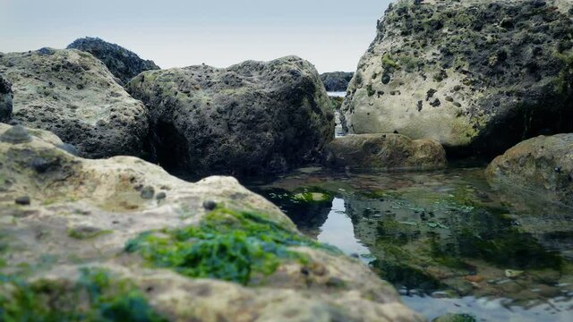 Rock Pool By The Sea Moving Shot