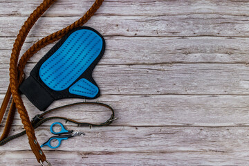 Dog accessories on wood background. Blue rubber grooming glove, claw clipper, brown leather leash and spiked collar for dog on wooden background. Top view, copy space. Pet care concept