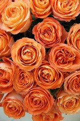 Bouquet of orange roses background 