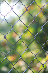 Fototapeta premium Al otro lado de la reja