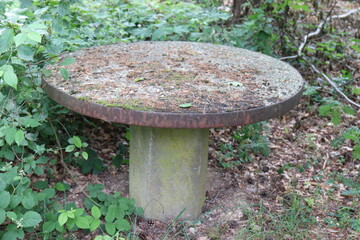 Betontisch im Wald.