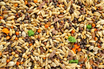 Food for canaries, parrots, finches, texture, background, top view. Mixed seeds for bird feeding....