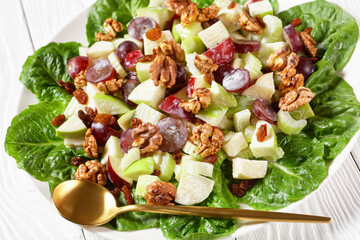 Waldorf salad with red grapes on a plate