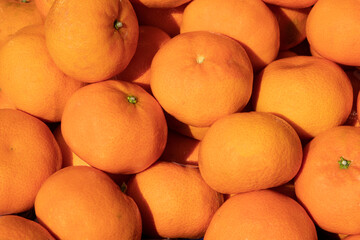 detail of fresh orange oranges in sunlight
