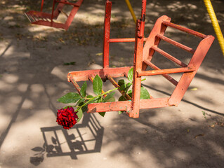 A lonely rose flower on a swing. The concept of memory, nostalgia for the past.