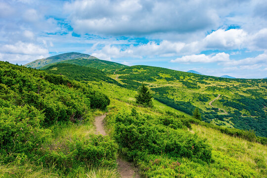 trail uphill the alpine meadow to the distant summit. beautiful mountain landscape in summertime. clouds on the sky. travel countryside concept