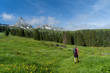 Schweiz im Sommer Churfirsten