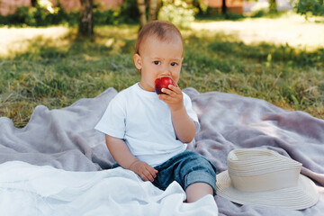 Adorable little boy with a funny expression eating a peach at a picnic. Portrait of a child sitting on a blanket in nature. Healthy food, fruits for the kid. Family picnic outdoors.