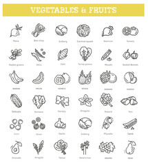 Fresh fruit and vegetables. Vector Icons set