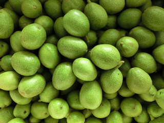 Green background a lot of green walnuts