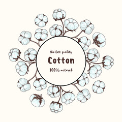 Cotton hand drawn sketch. Circle concept. Vintage vector illustration. Design template. Drawn with ink. Engraving style. Cotton illustration.