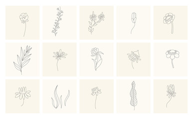 Floral elements. Collection of hand drawn plants. Set design elements in sketch style flowers and branches. Botanical icons