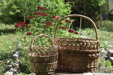 Fototapeta na wymiar basket with flowers