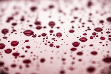 Gotas de sangre