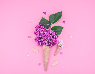 Lilac flowers in a cone.
Lilac flowers in waffle cones lie in the middle on a pink background with space for text on the sides, top view close-up.
