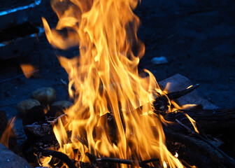 campfire flame in the forest during picnic for cooking