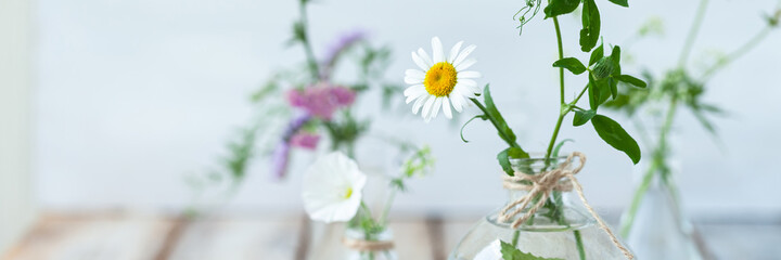 Concept of pure natural organic herbal, flower ingredients in cosmetic production. Camomile, lavender essential oils for gentle face and body care. Aromatherapy. Wooden background, copy space banner