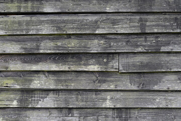 Weathered grey wooden board wall, to use as a background