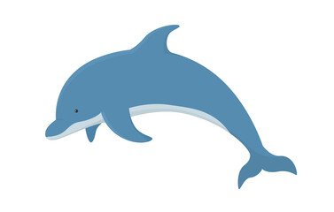 Vector illustration of dolphin isolated on white background.