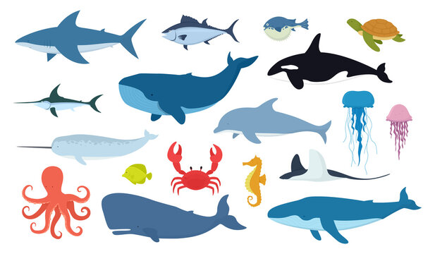 Vector set of fish and ocean animals. Shark, dolphin, narwhal, blue whale, octopus, sperm whale, swordfish, killer whale, jellyfish, turtle isolated on white background.