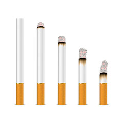 Vector 3d Realistic Cigarette Set Closeup Isolated on White Background. Different Stages of Burn. Whole and Smoking. May 31st World No Tobacco Day. No Smoking Day Awareness. Stop Smoking Campaign