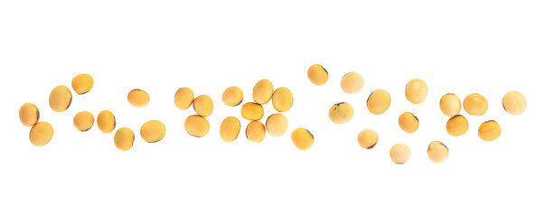 Pile of raw organic soybeans isolated on a white background, overhead view. Healthy food. Group of...