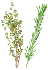 Fragrant herbs - green branches of rosemary and thyme isolated on a white background, top view. Flat lay.
