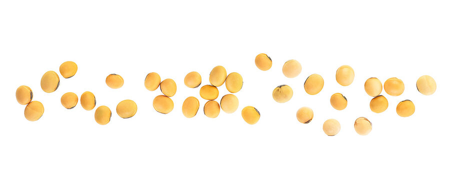 Pile of raw organic soybeans isolated on a white background, overhead view. Healthy food. Group of soy beans.