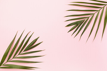 Palm leaves on a pink background with copy space in the center, top view
