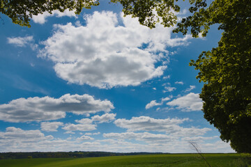 field and blue sky