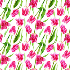 Seamless pattern with bright pink tulips, green stems and leaves on white background. Endless floral high detailed illustration for wrapping paper, fabric, gardening background