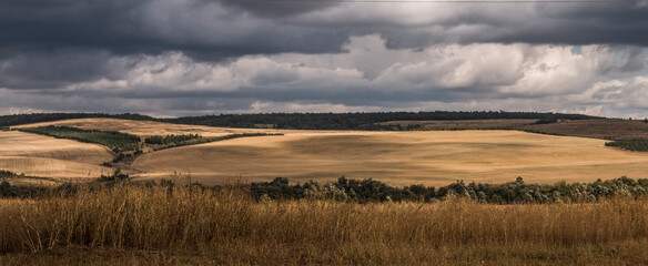 countryside field with grass and stormy clouds 
