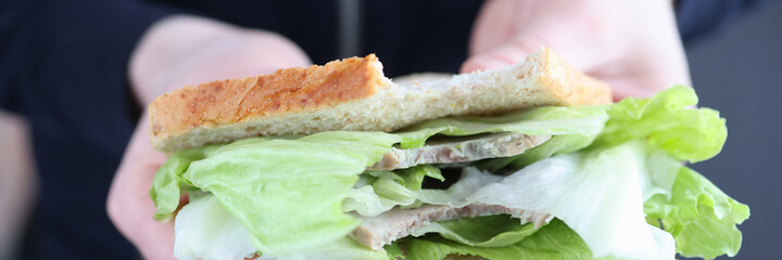 Male hands holding sandwich with greens closeup