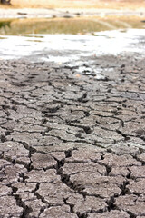 drought, dry cracked soil, dry lake shore close-up