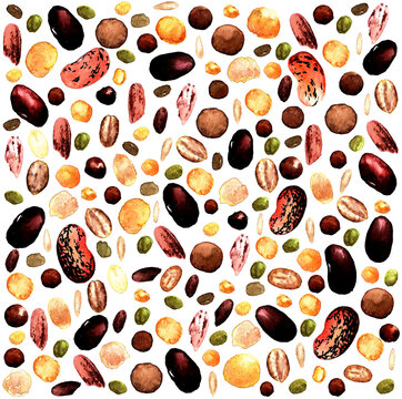 Watercolor pattern of frequently arranged edible seeds, red beans, oatmeal, beans, lentils, chickpeas and rice on a white background for a vegan design template. watercolour vegemite seeds