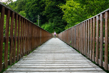 Wood bridge perspective in the italian alps