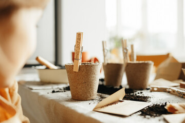 Preschooler girl wearing mustard linen dressplanting herbs at home using biodegradable peat...