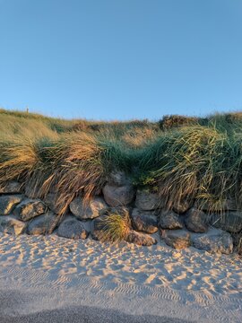 Siv og sten p&aring; L&oslash;kkenstrand 
Reeds and stone on L&oslash;kken (Denmark) beach 