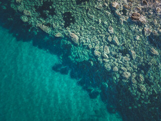 Aerial top view of coral reef and clear water - obrazy, fototapety, plakaty