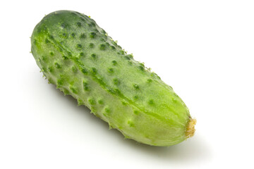 Fresh green cucumber isolated on white background for quick selection.