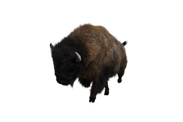 American bison, different poses isolated on a white background. 3D figure clip art as a template for collage. 3D rendering, 3D illustration.