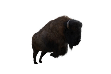 American bison, different poses isolated on a white background. 3D figure clip art as a template for collage. 3D rendering, 3D illustration.