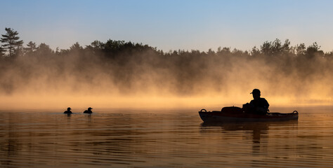 A kayaker at sunrise with a loon 