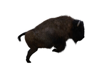 American bison, different poses isolated on a white background. 3D figure clip art as a template for collage. 3D rendering, 3D illustration.