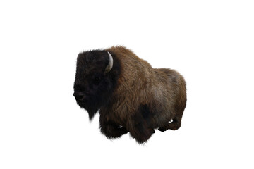 American bison, different poses isolated on a white background. 3D figure clip art as a template for collage. 3D rendering, 3D illustration.