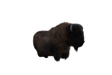 American bison, different poses isolated on a white background. 3D figure clip art as a template for collage. 3D rendering, 3D illustration.