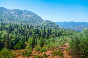 Fototapety na wymiar - Fototapeta24.pl